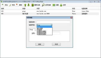 軟格網站服務監控軟件 v1.0.0.0官方版下載指南與軟件服務介紹